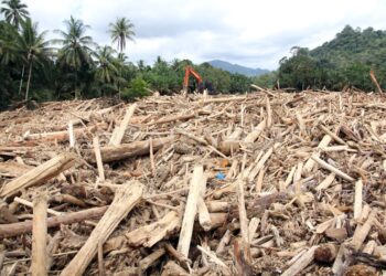 Alat Berat Dikerahkan untuk Bersihkan Gelondongan Kayu Banjir Sumatera