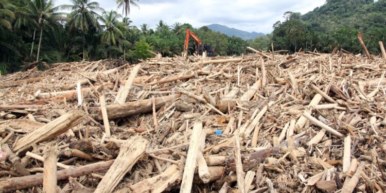 Alat Berat Dikerahkan untuk Bersihkan Gelondongan Kayu Banjir Sumatera