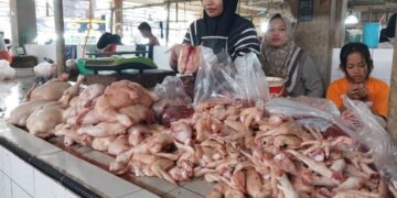 Pemkab PPU Pantau Harga Pangan