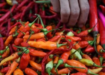 Inflasi Balikpapan Naik 0,75 Persen