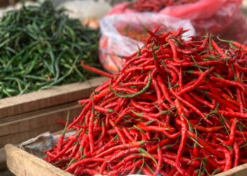 Harga Cabai di Kaltim Makin Pedas
