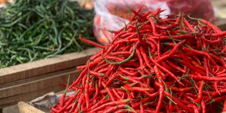 Harga Cabai di Kaltim Makin Pedas