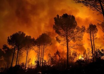 Waspada Ancaman Karhutla