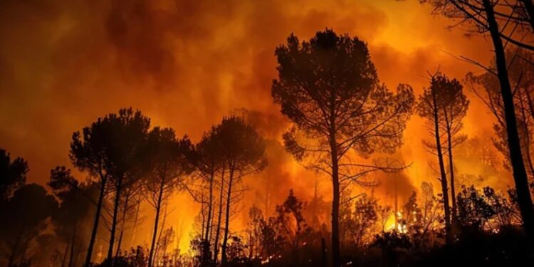 Waspada Ancaman Karhutla