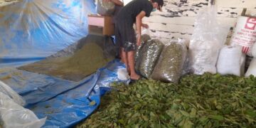 Kukar Dongkrak Ekonomi Kerakyatan