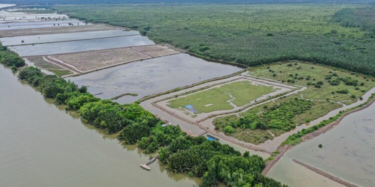 YKAN Implementasikan Investasi Program Biru Fund