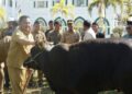 Bupati Penajam Mudyat, Ingatkan Kepedulian Antar Sesama Saat Penyerahan Bantuan Hewan Qurban Presiden