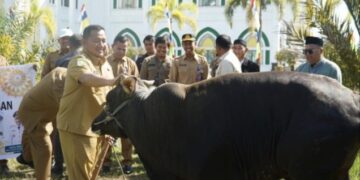 Bupati Penajam Mudyat, Ingatkan Kepedulian Antar Sesama Saat Penyerahan Bantuan Hewan Qurban Presiden