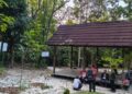 Taman Hutan Kota