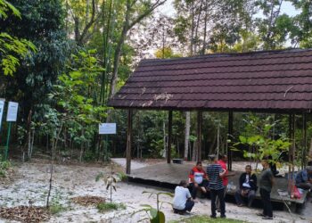 Taman Hutan Kota