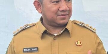 Review Desain Terancam Efisiensi, Jembatan Sungai Riko PPU Tertunda