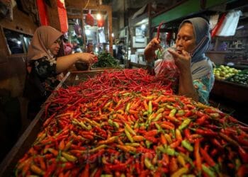 Harga pangan