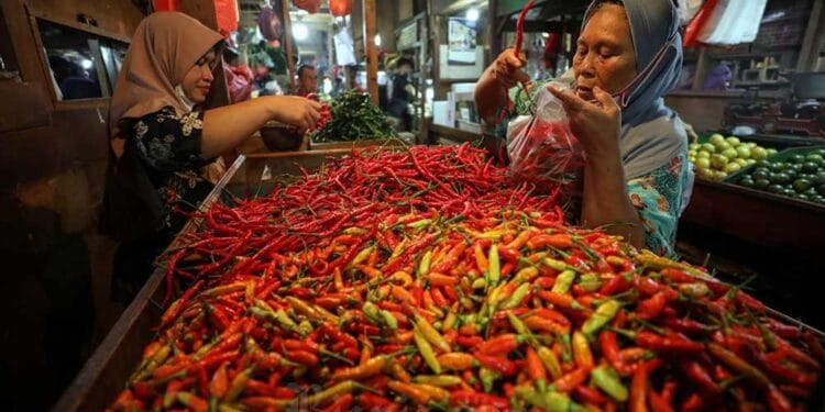 Harga pangan