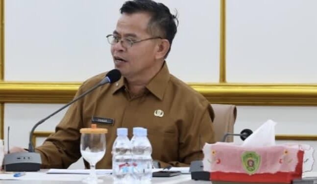 Pemkab PPU Dorong Perluasan Smart Farming, Pekarangan Rumah Jadi Sumber Pangan